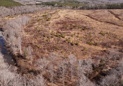 East Fork Pinkston Photo 19