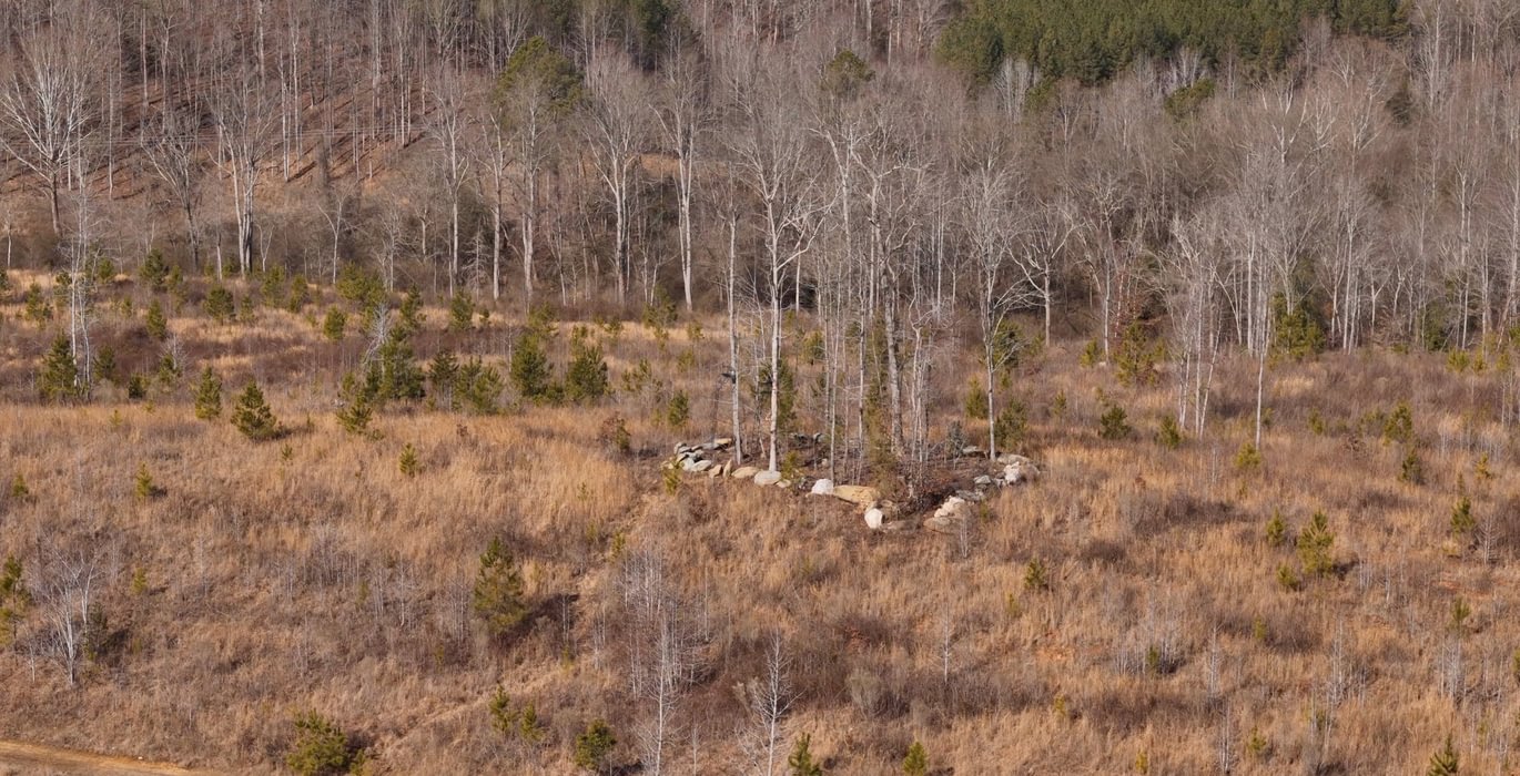 East Fork Pinkston Photo 3