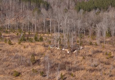 East Fork Pinkston Photo 3