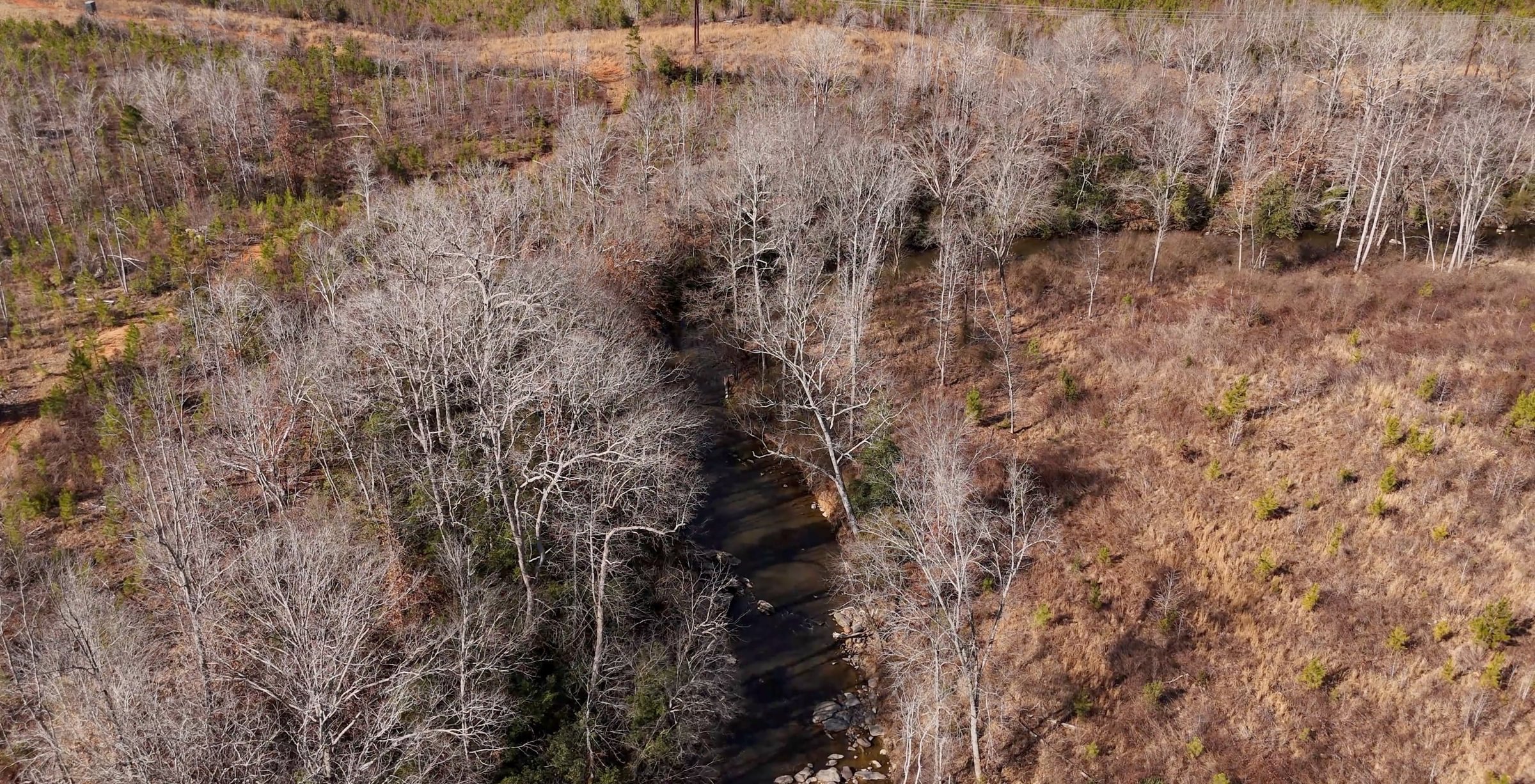 East Fork Pinkston Photo 7