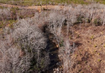 East Fork Pinkston Photo 7