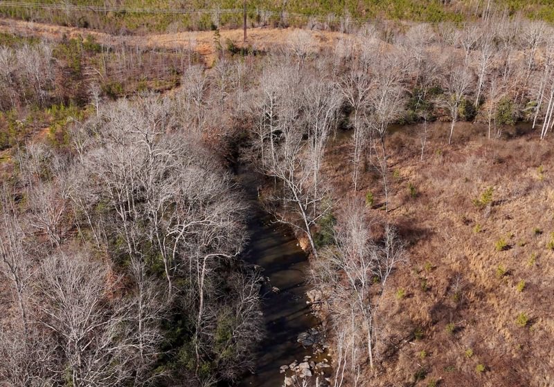 East Fork Pinkston Photo 7