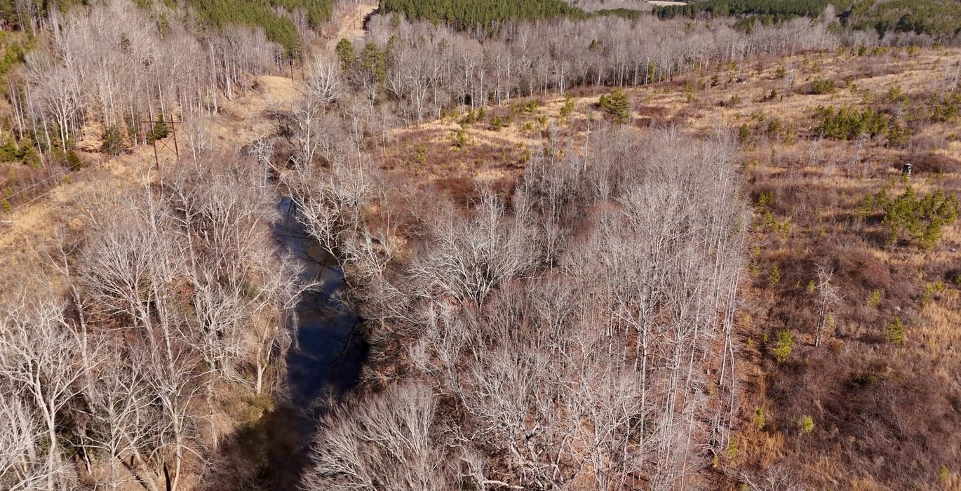 East Fork Pinkston Photo 8