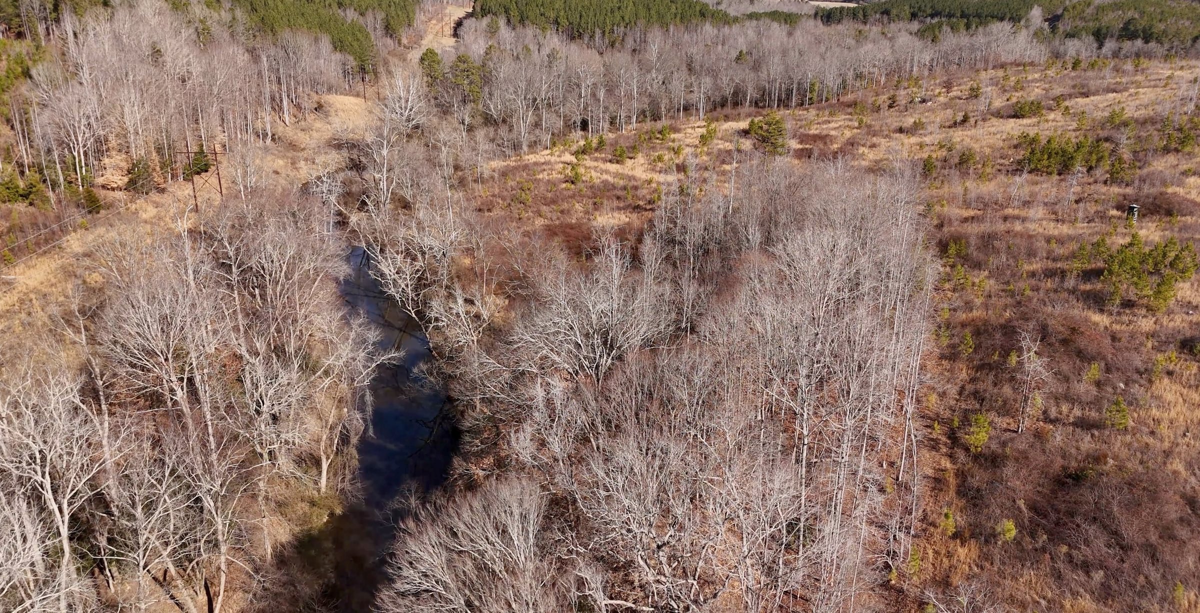 East Fork Pinkston Photo 8