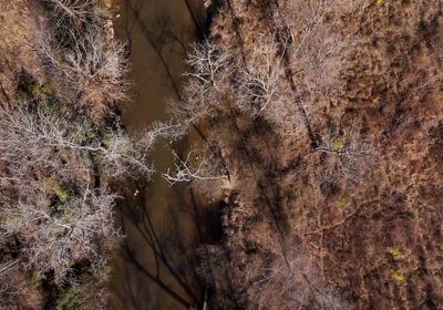 East Fork Pinkston Photo 9
