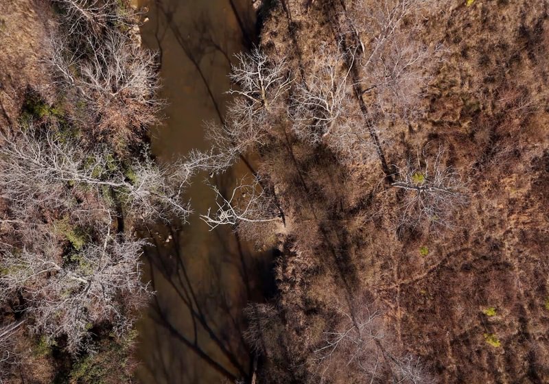 East Fork Pinkston Photo 9