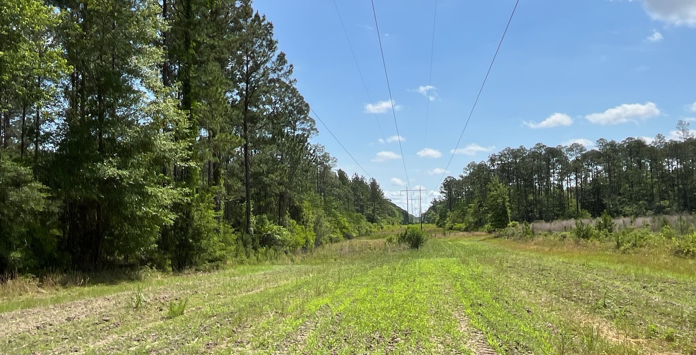 Great location for dove field