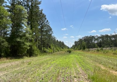 Great location for dove field