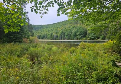 Howes Pond 2