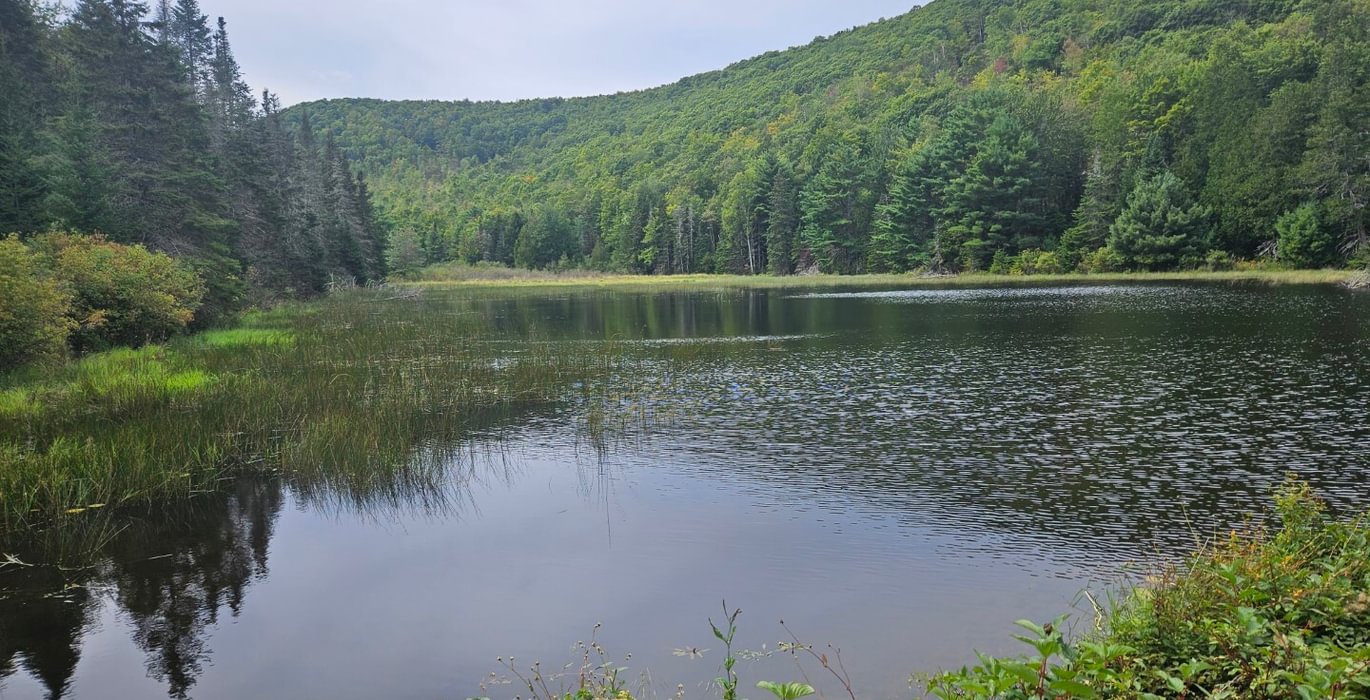 Howes Pond