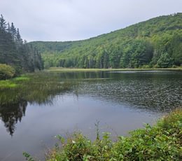 Howes Pond