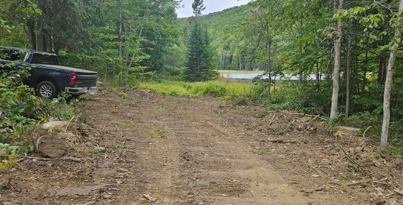 Howes pond and road