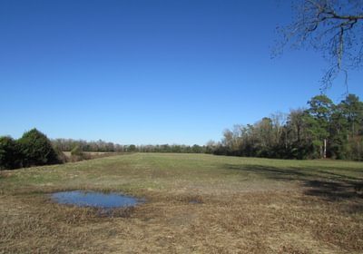 IMG 0113