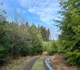 IMG 0121