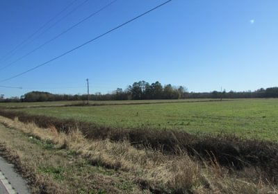 IMG 0123