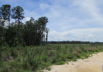 IMG 0462