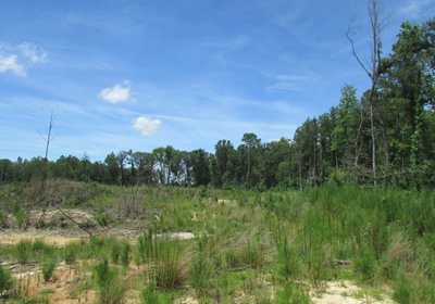 IMG 0463