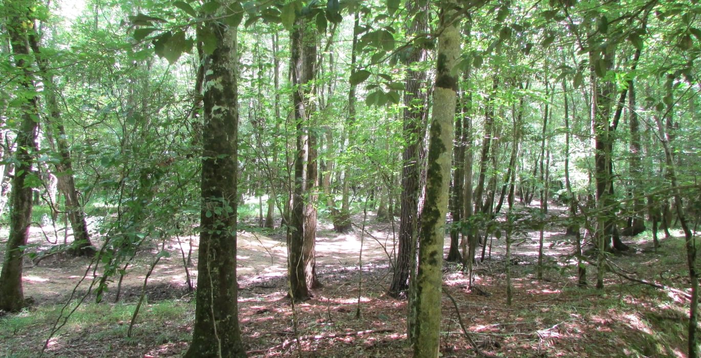 IMG 0475