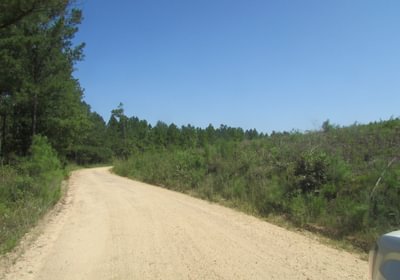 IMG 0544