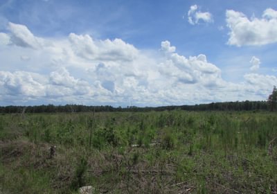 IMG 0508