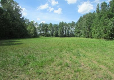IMG 0513