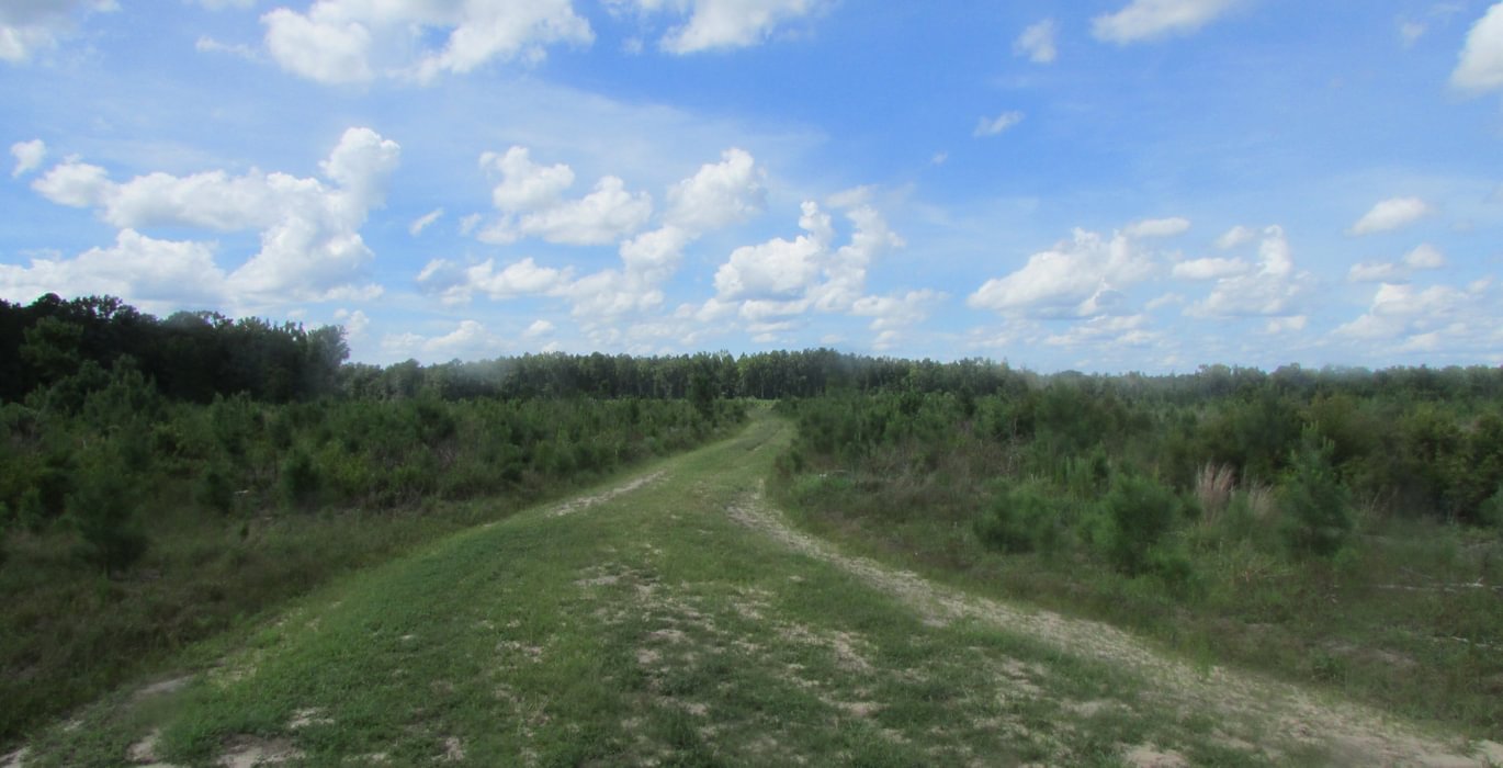 IMG 0527