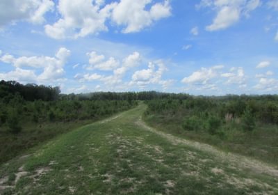 IMG 0527