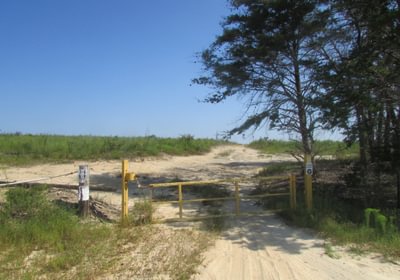 IMG 0531