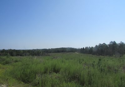 IMG 0534