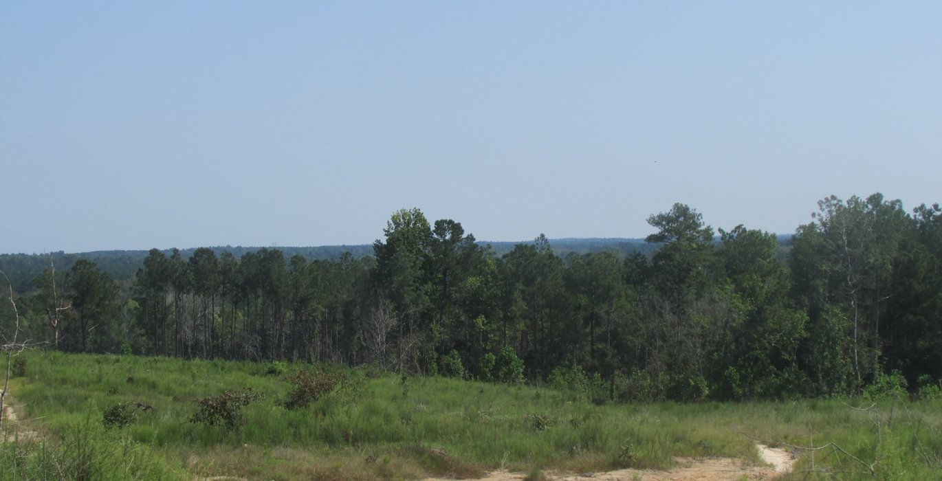 IMG 0535