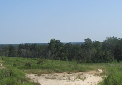 IMG 0535