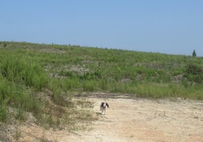 IMG 0536