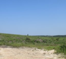 IMG 0537