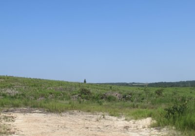 IMG 0537