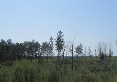 IMG 0538