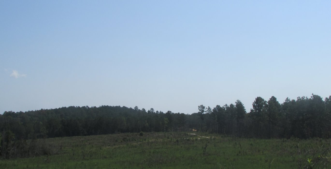 IMG 0539