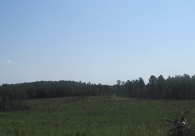 IMG 0539