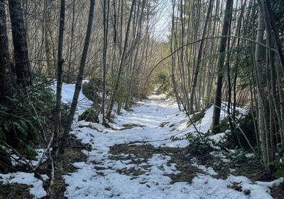 IMG 0844