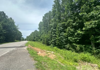 IMG 08981