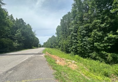 IMG 08991