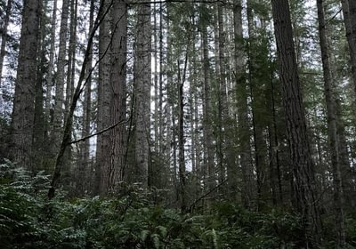 IMG 0801