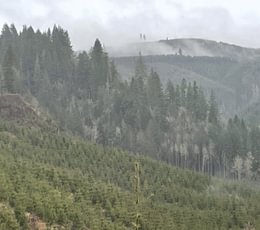IMG 0819