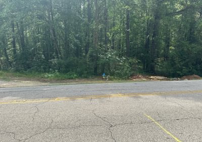 IMG 09671