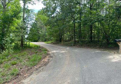 IMG 0979