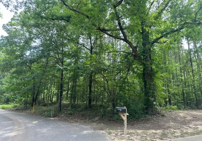 IMG 0980