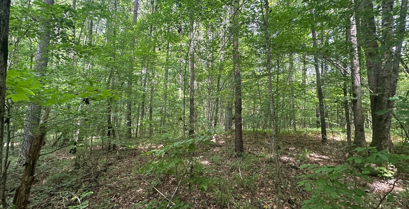 IMG 09021