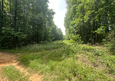 IMG 09361
