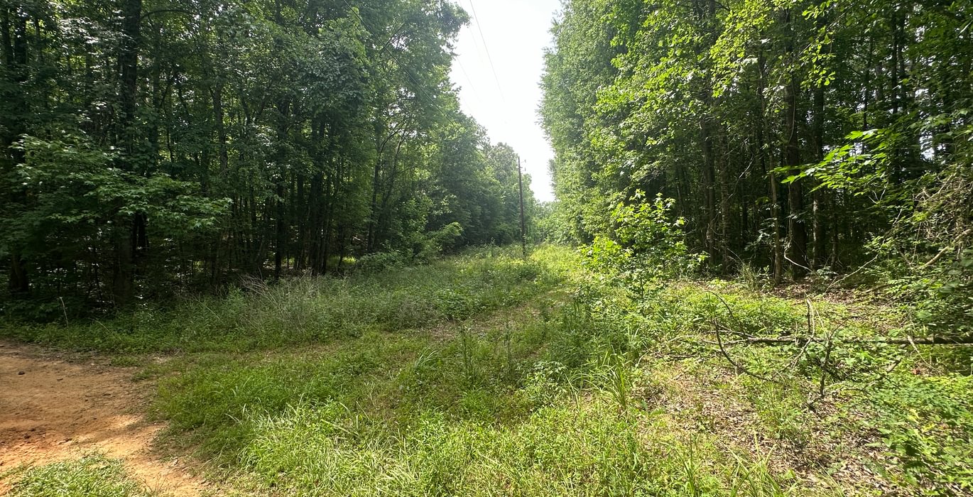 IMG 09361