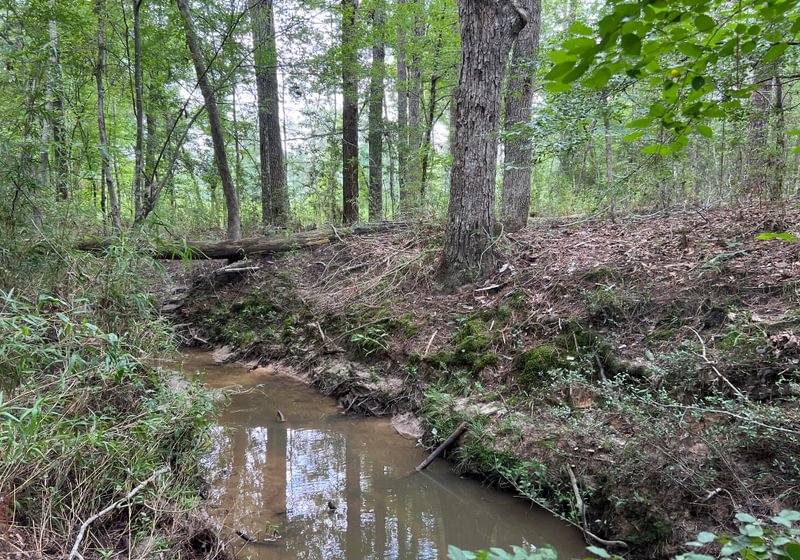 Photo 6 of Sturgis Mill T-17, 63 acres, Sabine County, Texas
