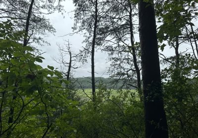 IMG 12051
